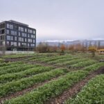 Wizyta w Centrum Innowacji dla klientów HPE w Genewie 11